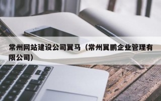 常州网站建设公司翼马（常州翼鹏企业管理有限公司）
